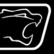 Mobiles Chiptuning Graz