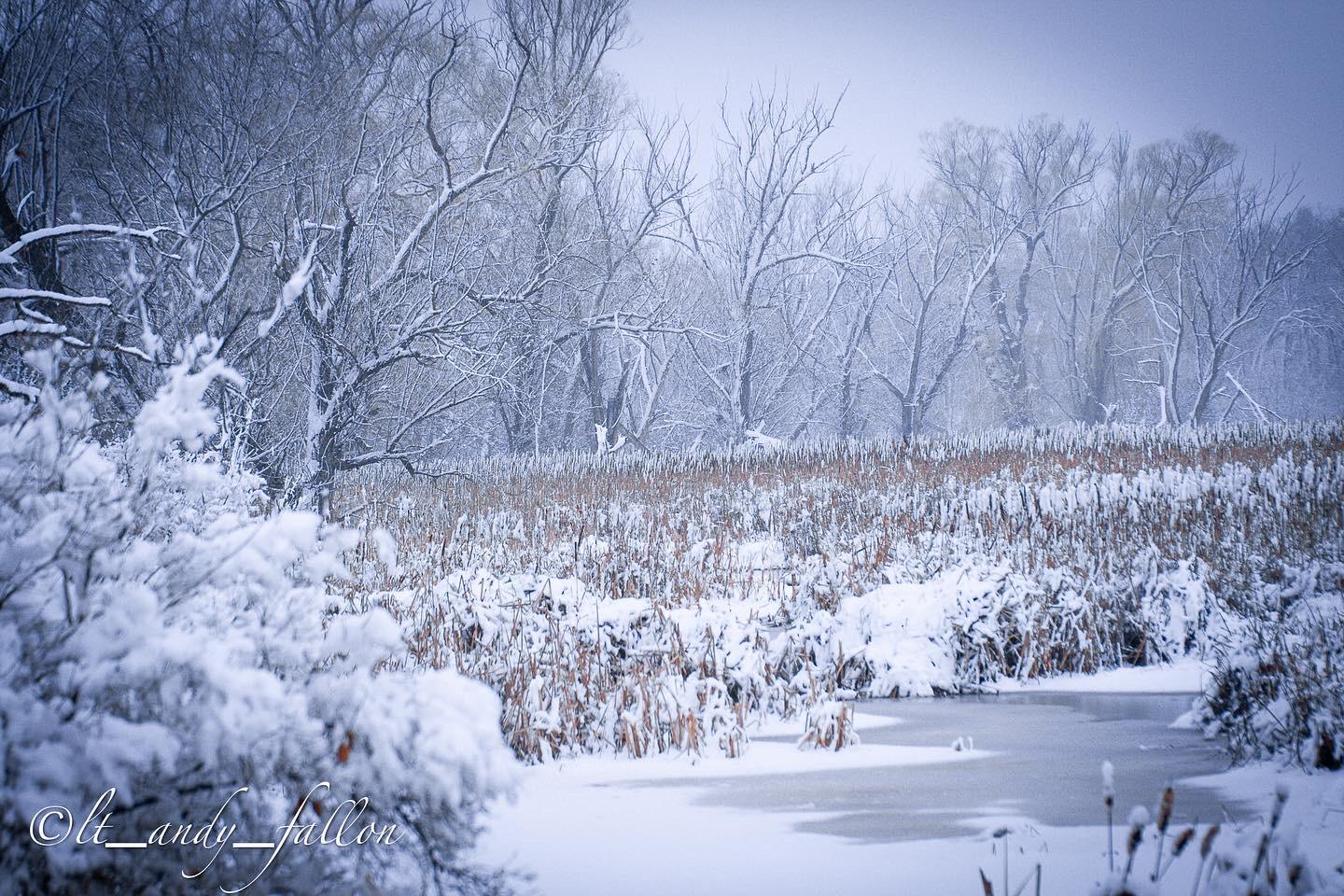 Emergency Disaster Recovery INC ?? Image