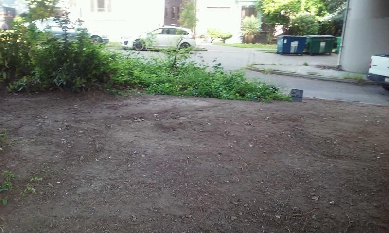 America Disaster Services Image