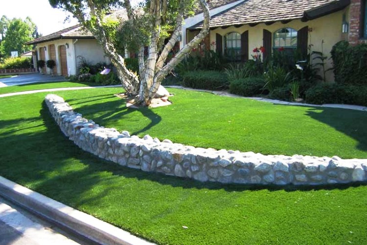 Durable Lawn