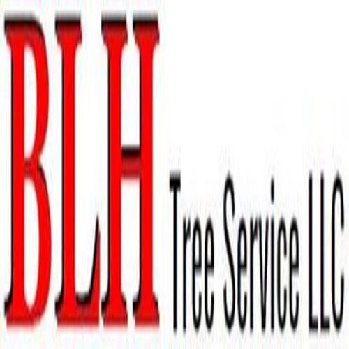 BLH Tree Service LLC Logo