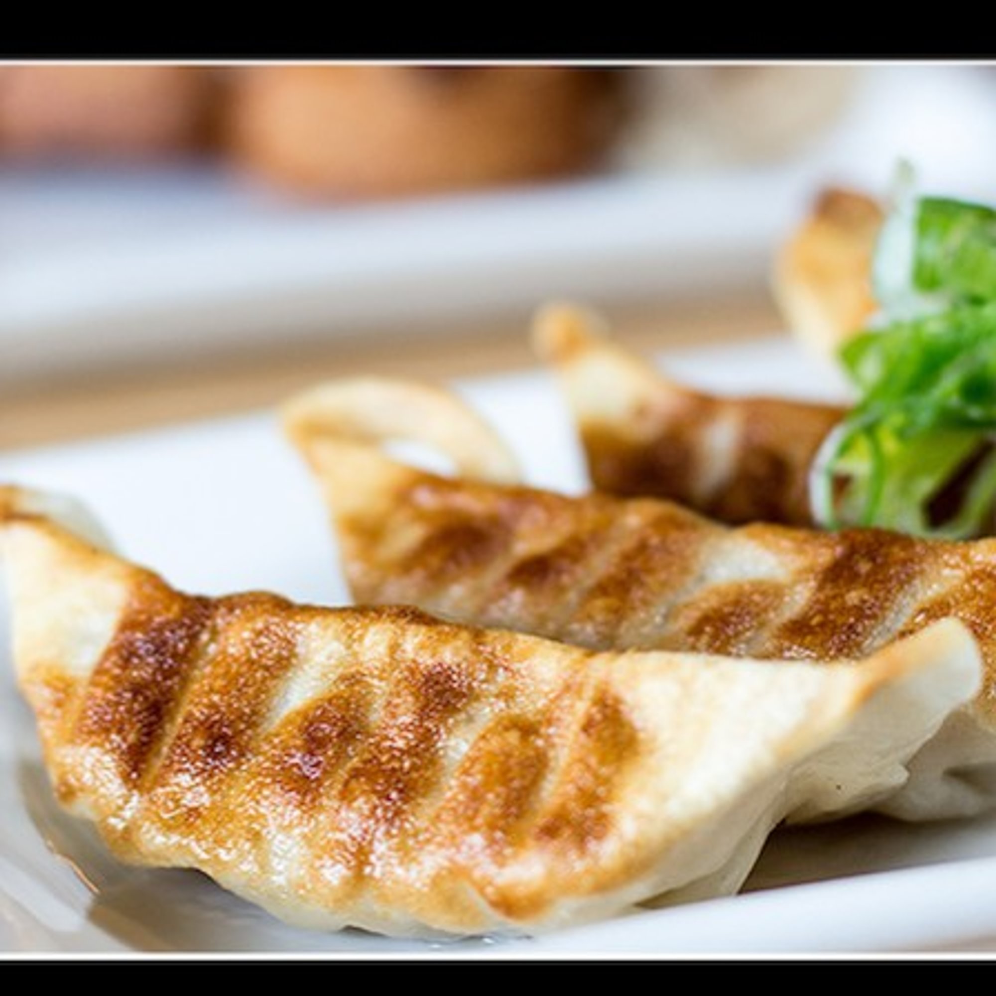 Chicken Dumplings