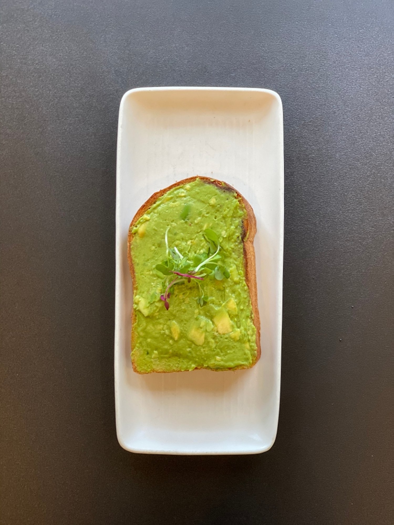Single Plain Avocado Toast