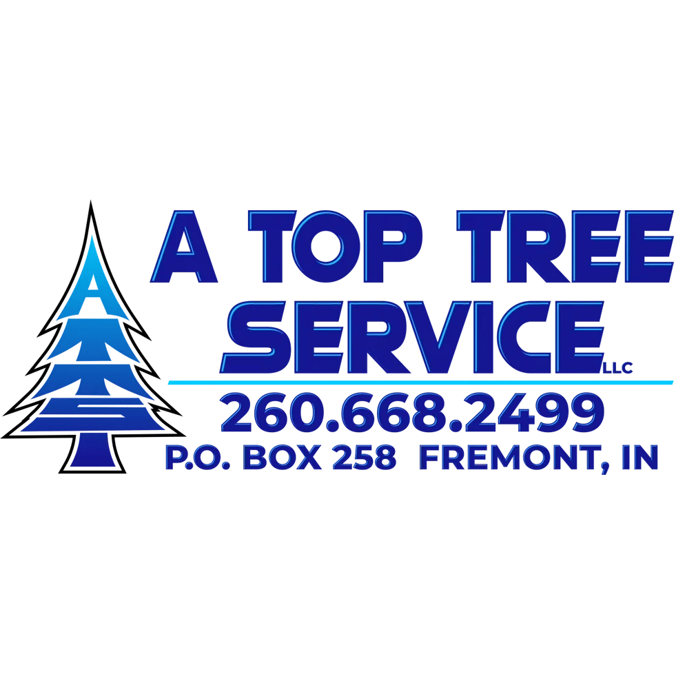 A Top Tree Service