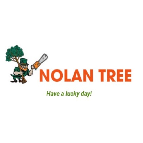 Nolan Tree