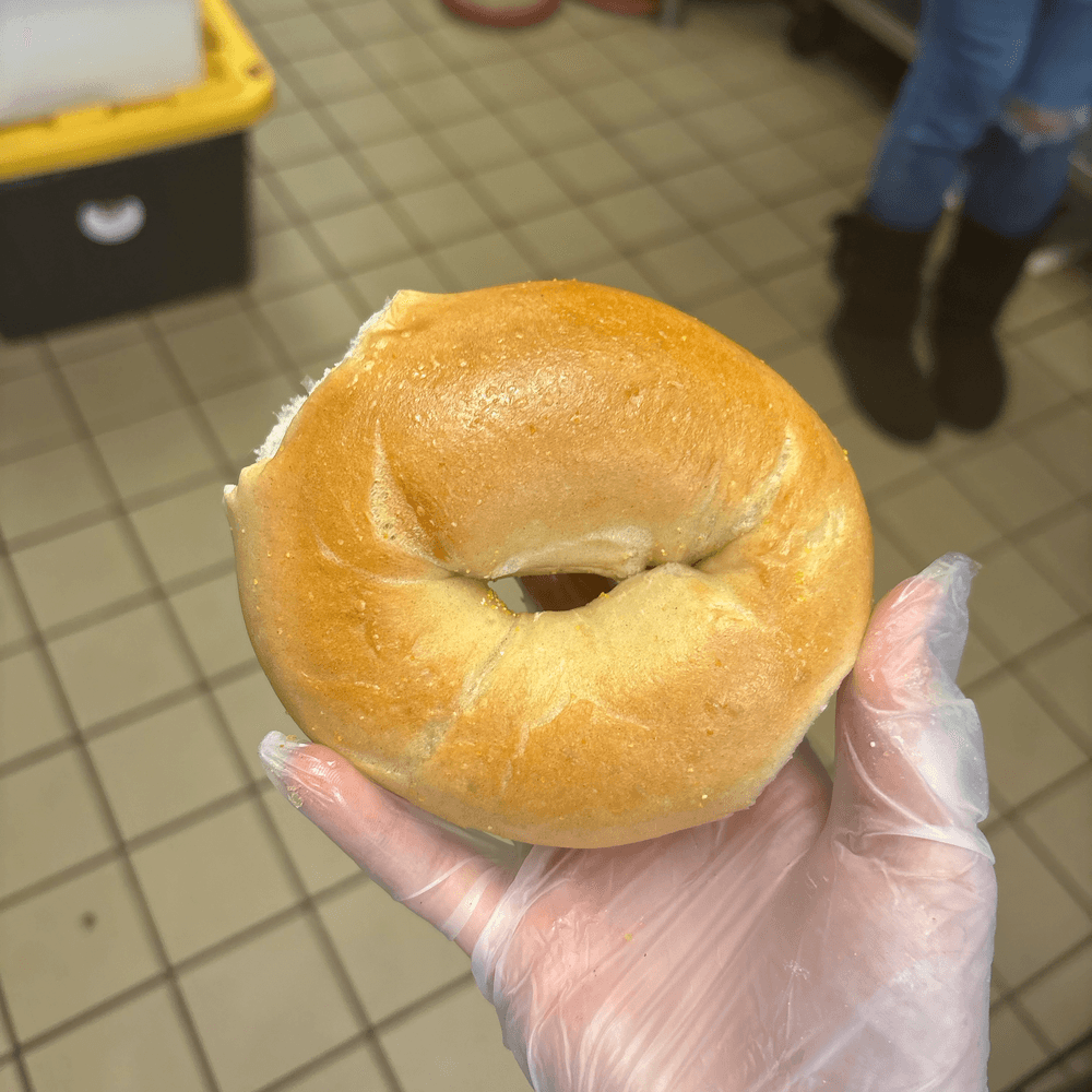 Plain Bagel