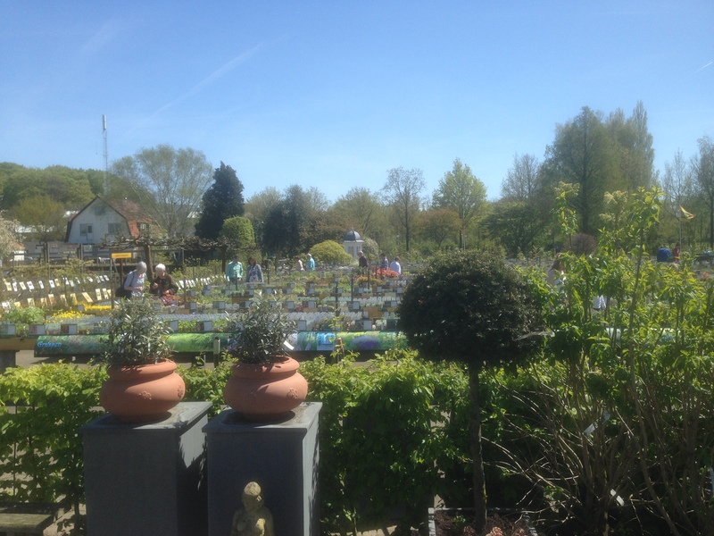 Foto's Abbing Tuincentrum/Tuinaanleg