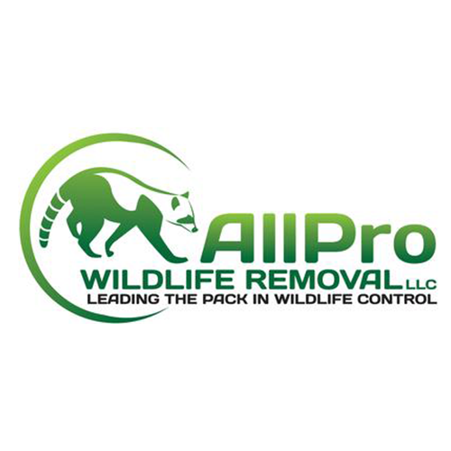 AllPro Wildlife Removal LLC