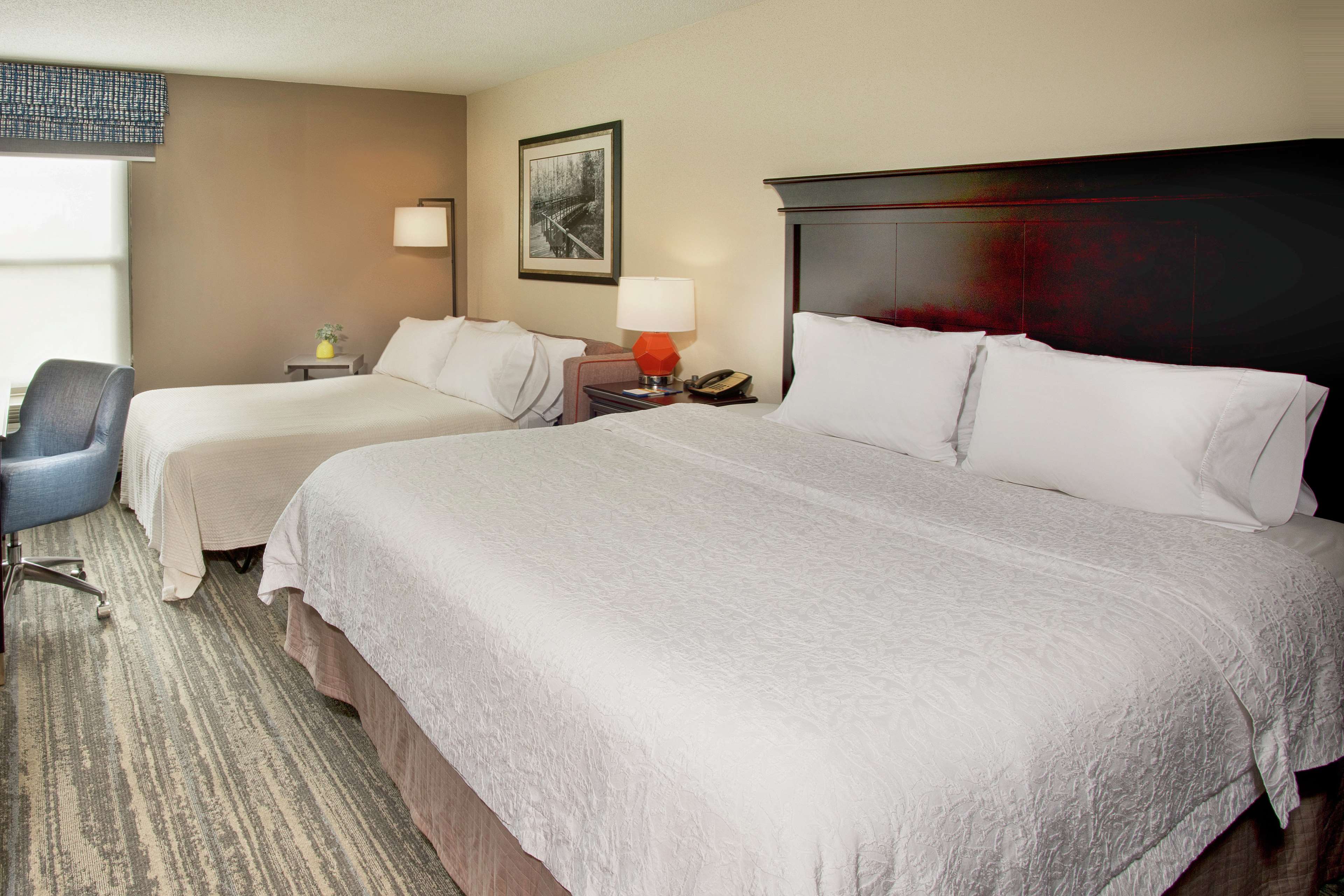 Hampton Inn Memphis/Collierville Photo