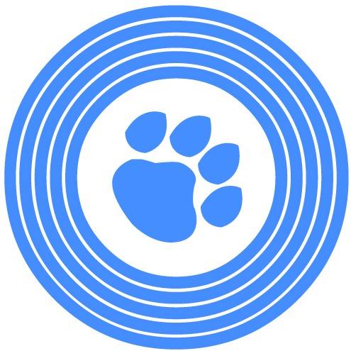 Disco Paws
