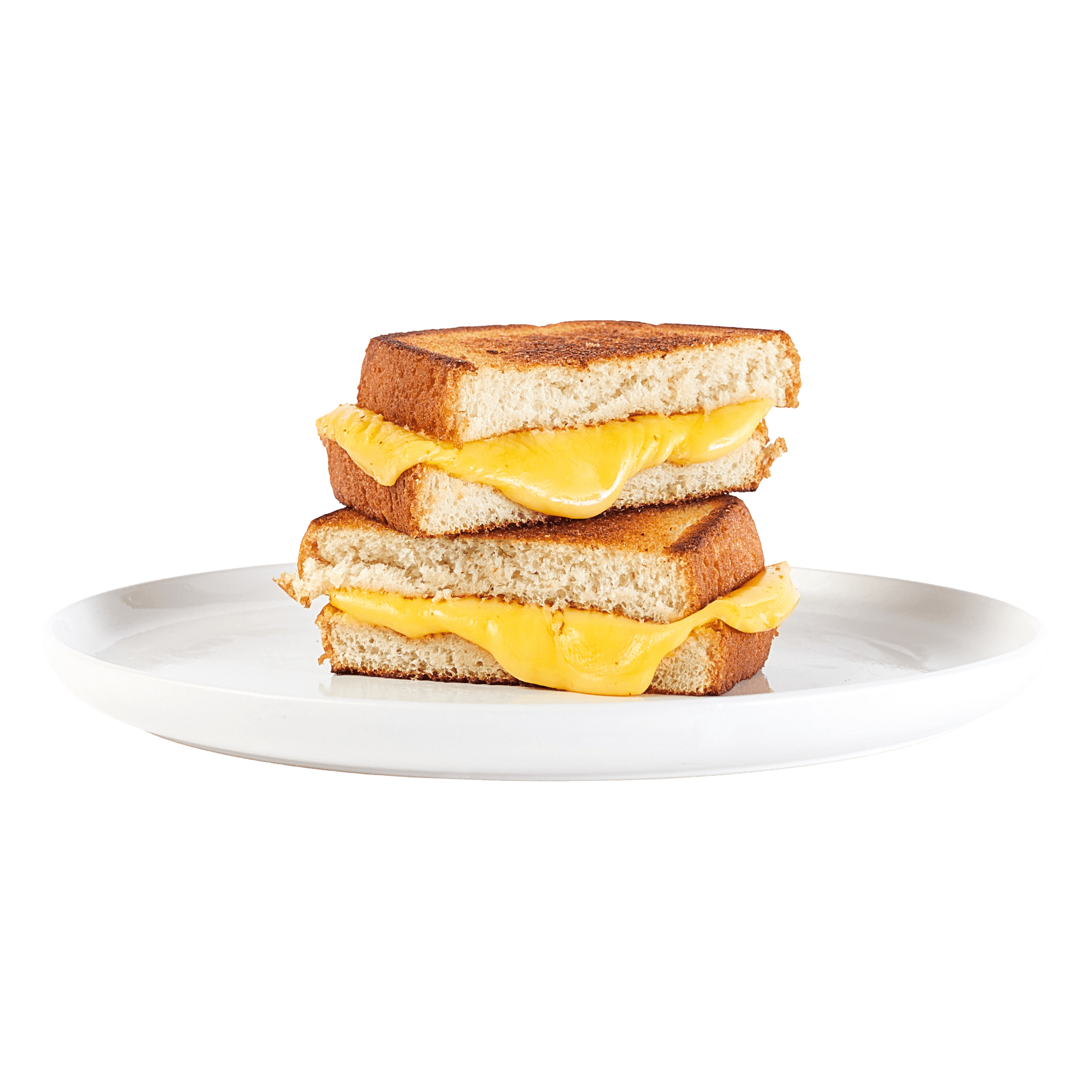 Grilled Cheese Panini