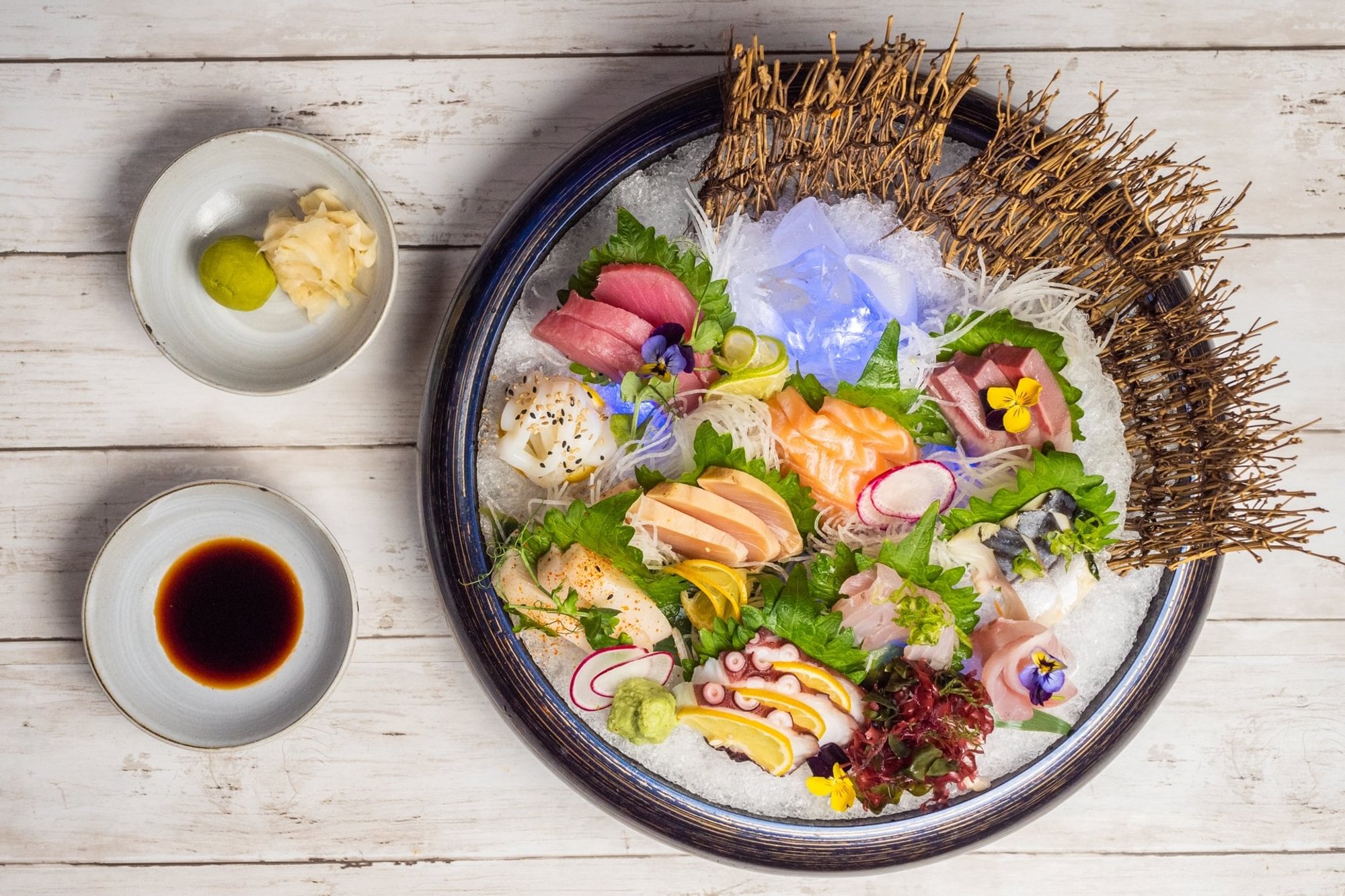 10 Kinds of Fish
