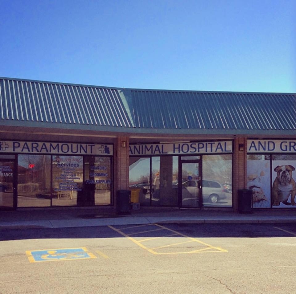 Paramount Animal Hospital, Stoney Creek