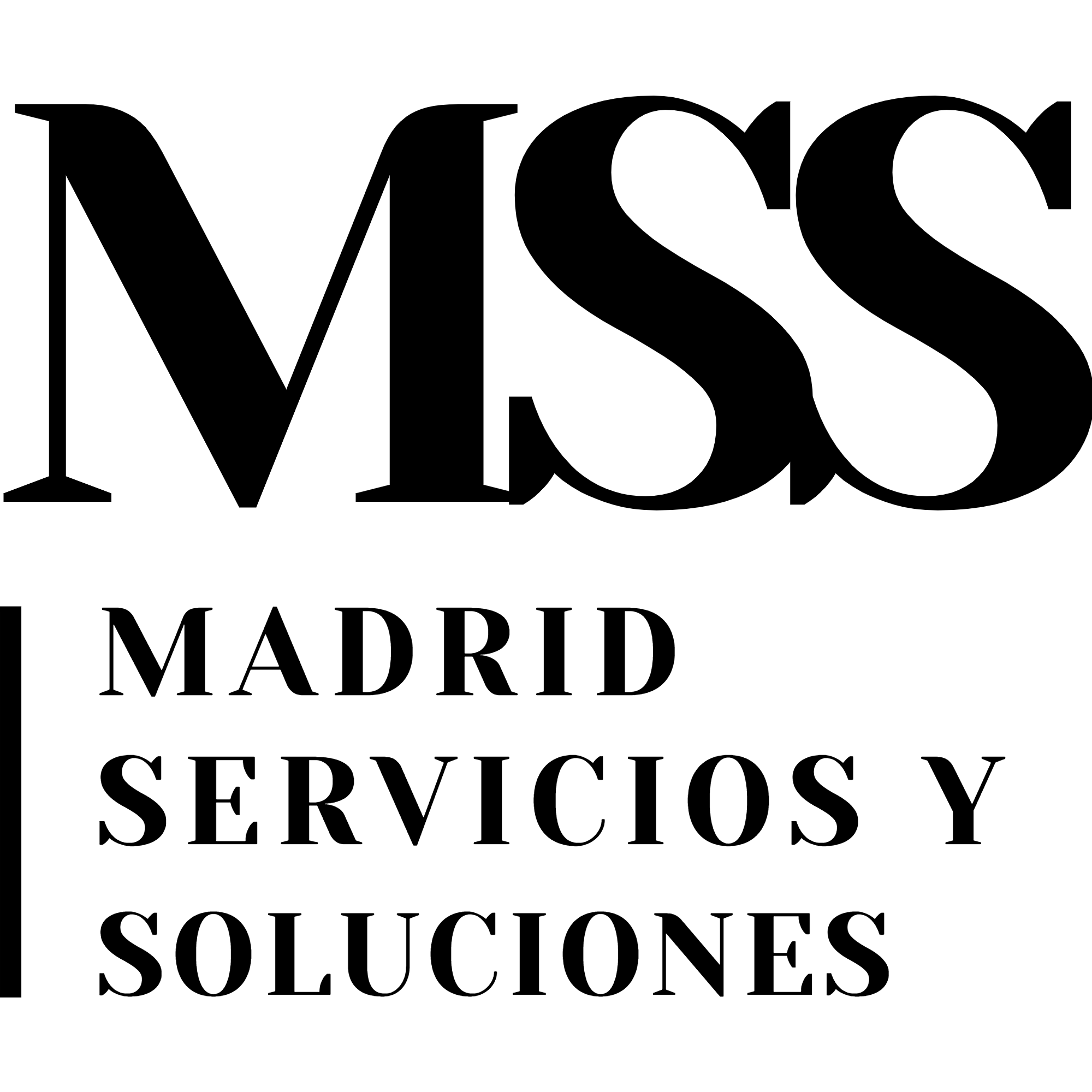 Madrid Servicios Y Soluciones, Empresa de Mantenimiento Madrid