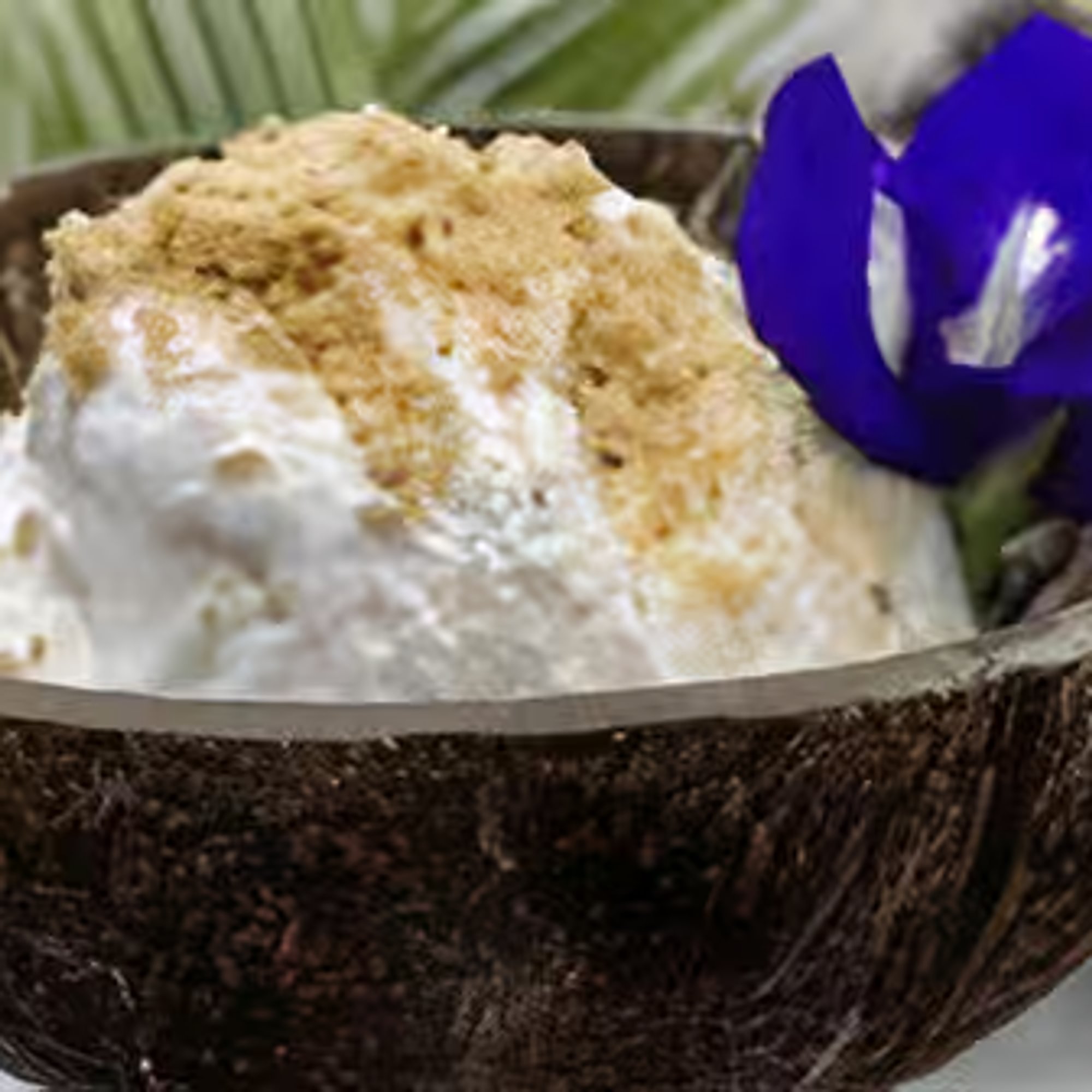 Coconut Ice Cream