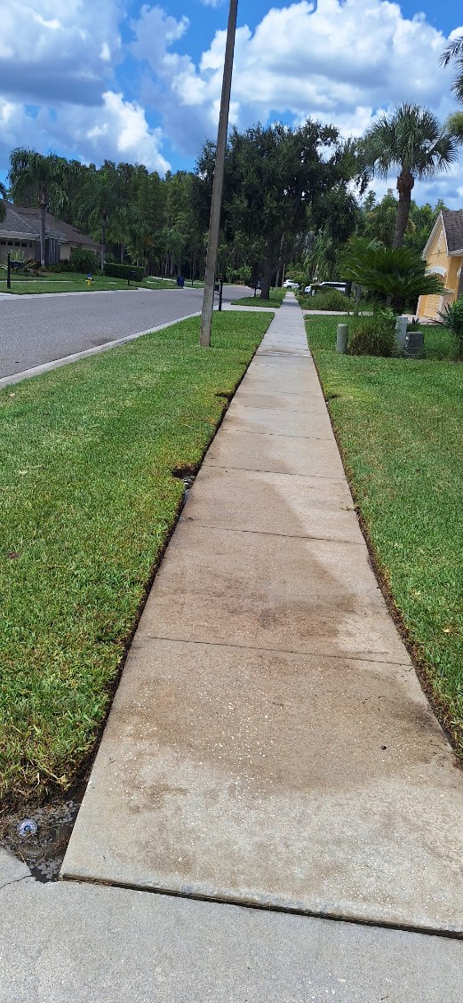 Window Hero Northern Tampa Image