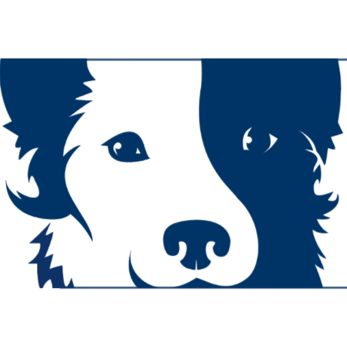 Frisco Pet Grooming & Spa