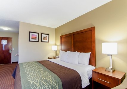 Apex Hotel Promo Code Belks Michael Kors Watches