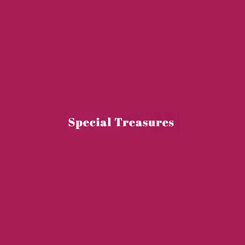 Special Treasures Logo