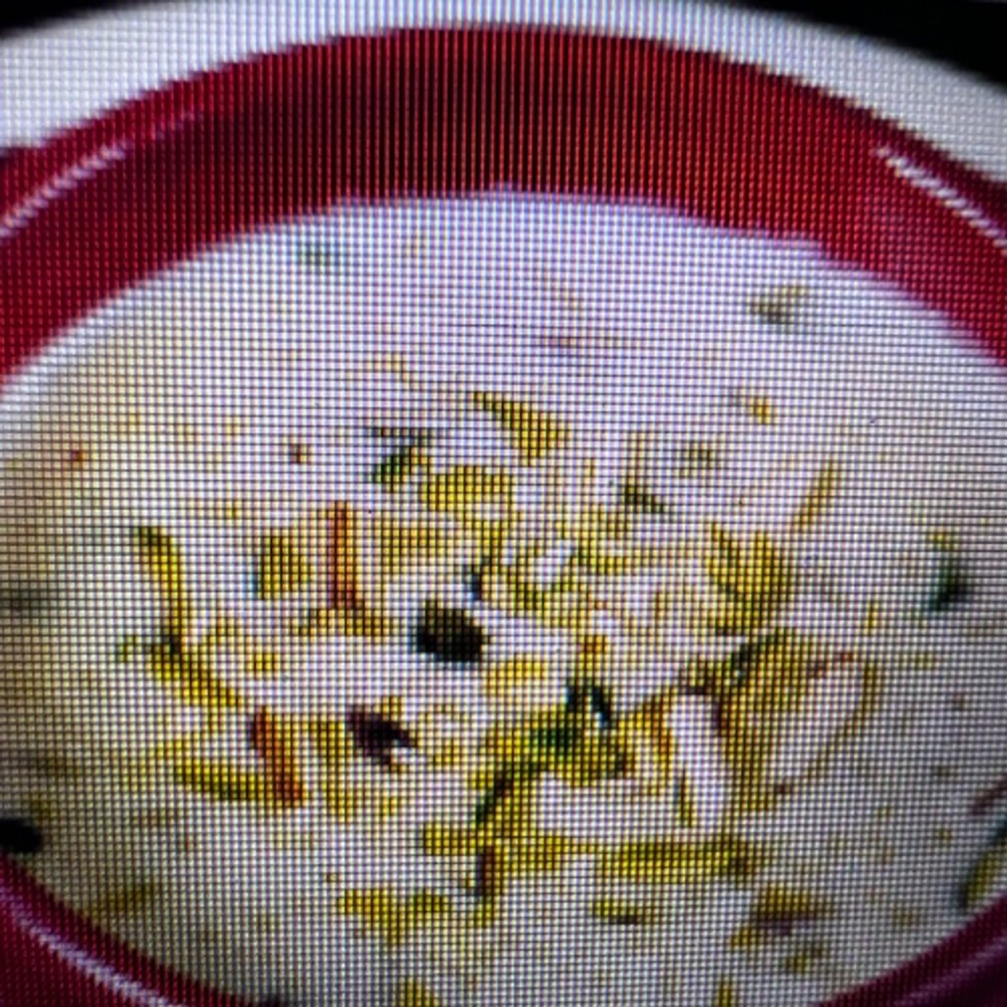 Kheer (VEG, GF)