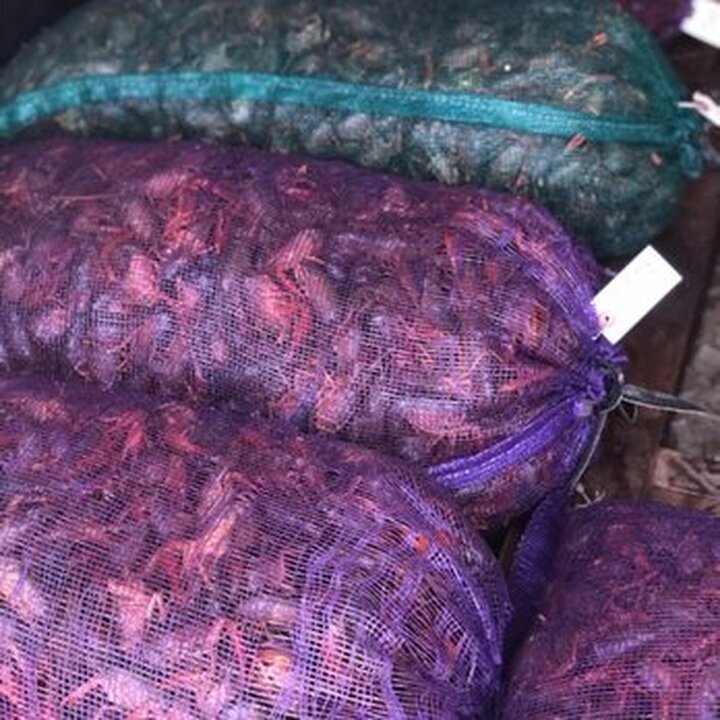 A Taste of New Orleans Image