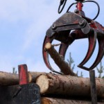 Su-Tree Service Image