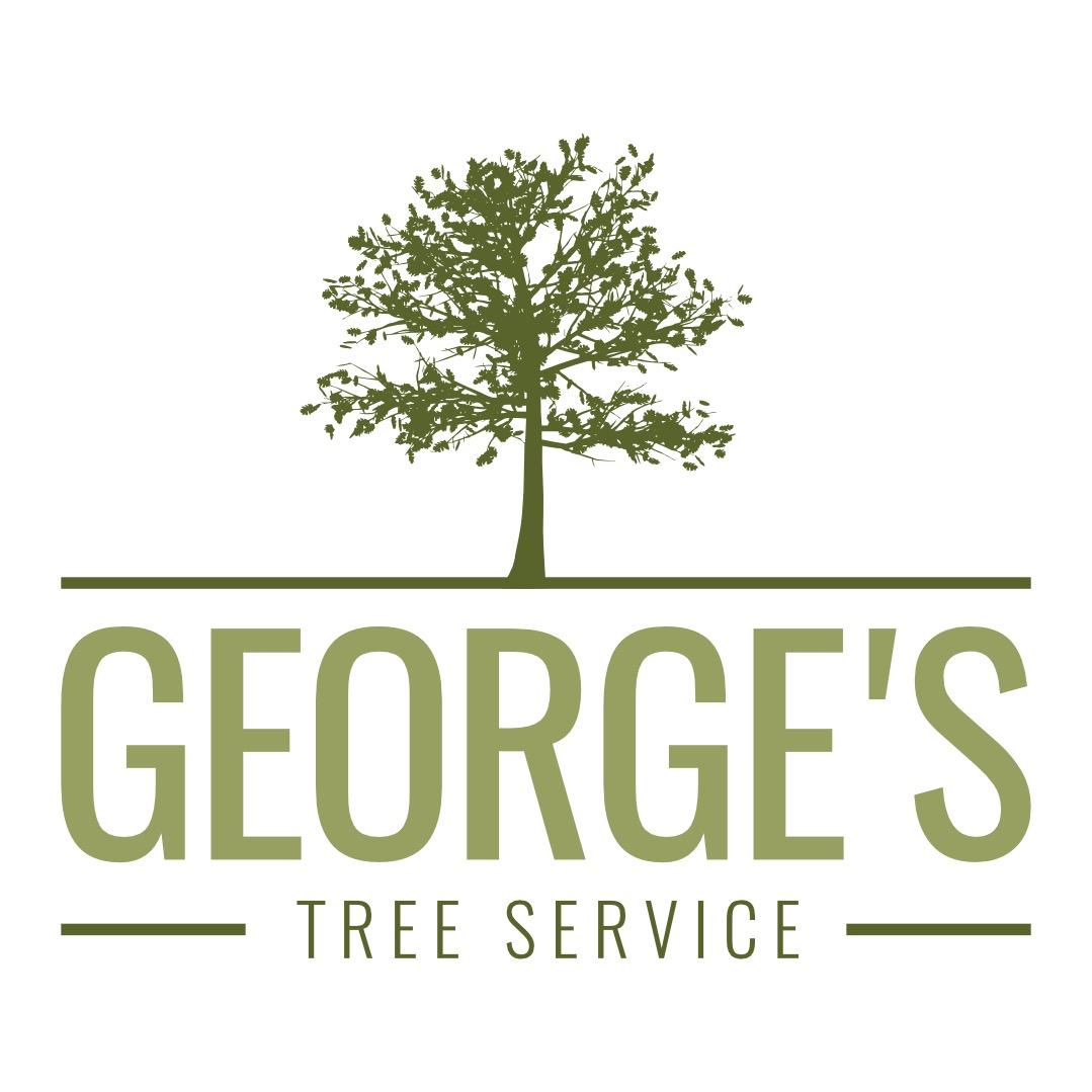 George's Tree Service Photo