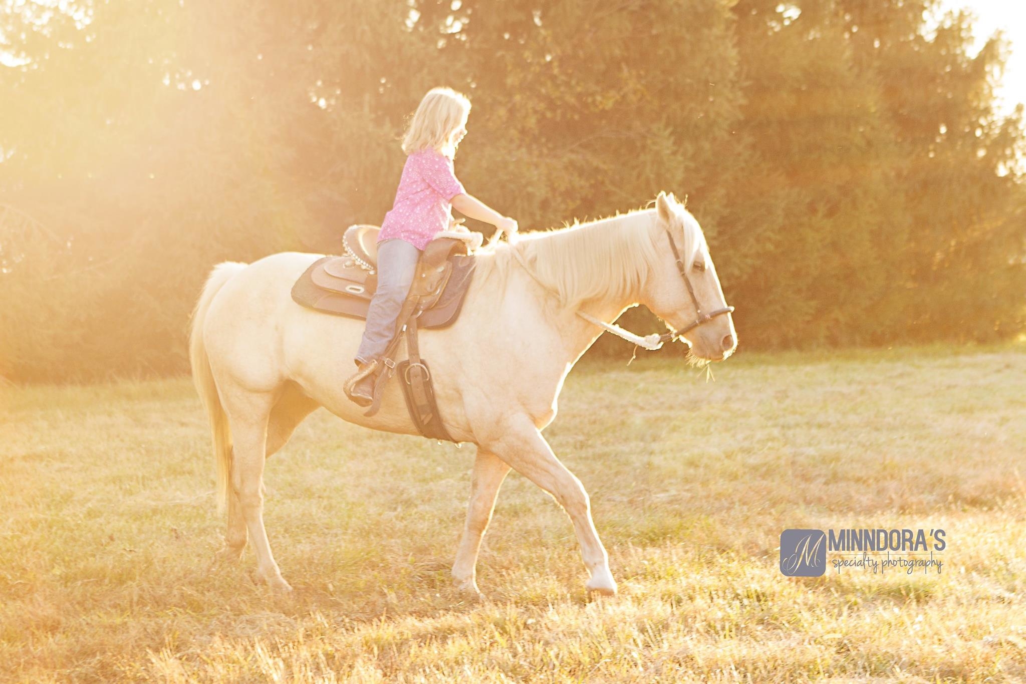 Minndora's Specialty Photography Image