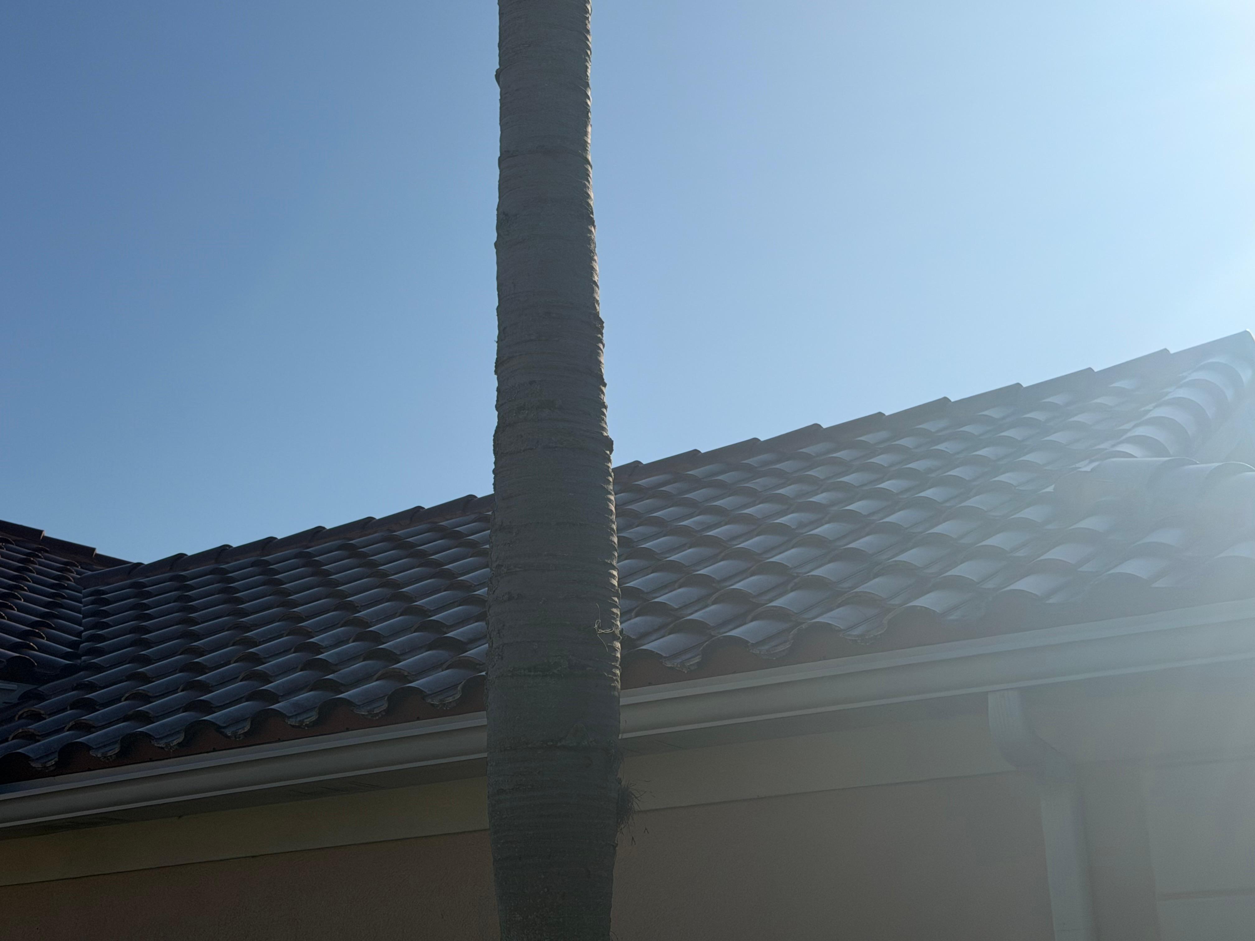 Pressure Pros of Palm Beach