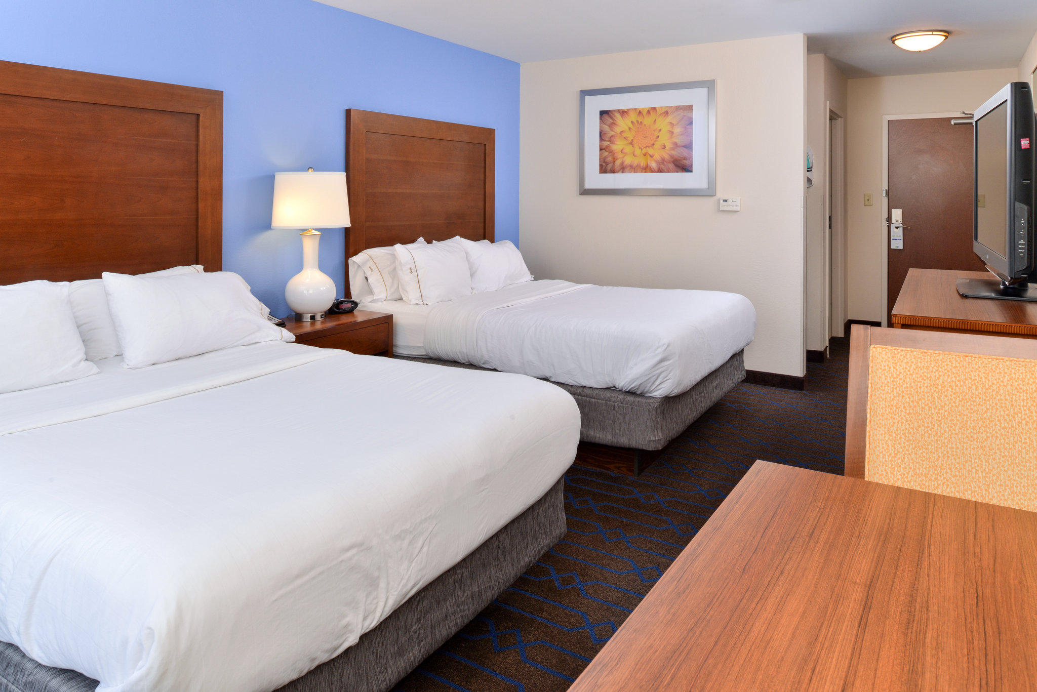 Holiday Inn Express & Suites Terre Haute Photo