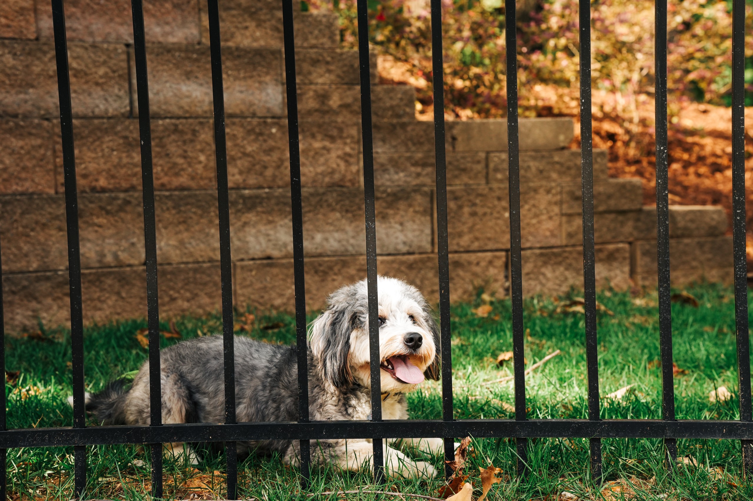 Top Rail Fence Mobile Image