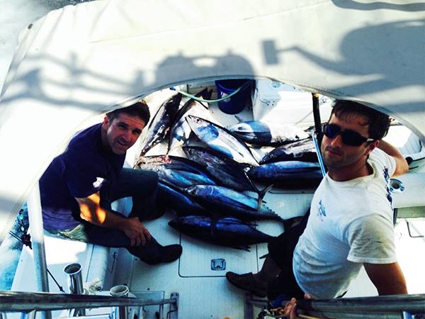 Images Islander Sport Fishing Charters