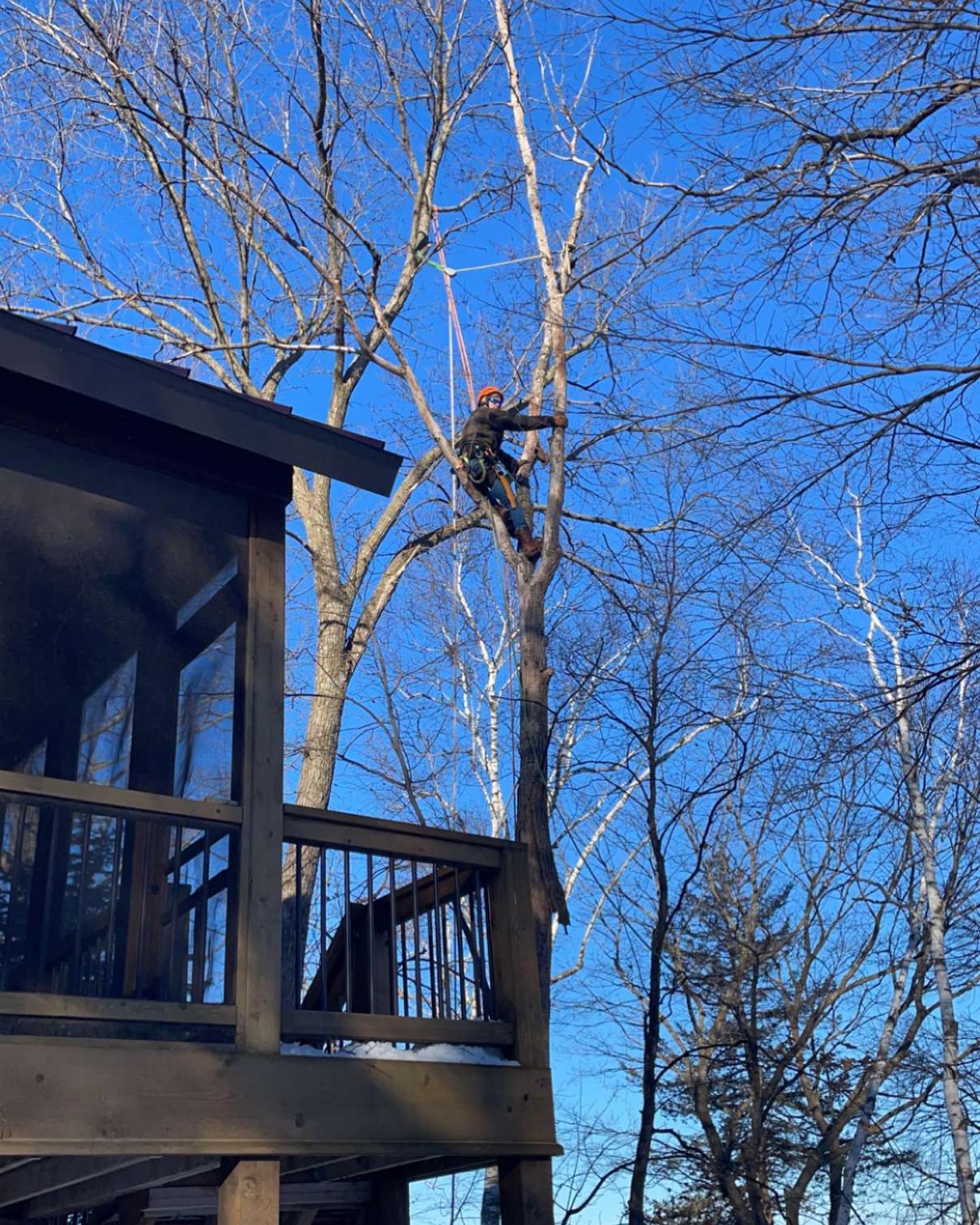 Norgren Tree Services Inc Image