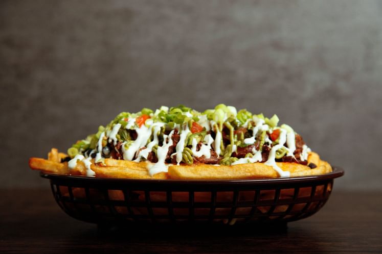 BIRRIA FRIES