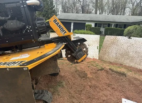 Grant Brothers Tree Service Image