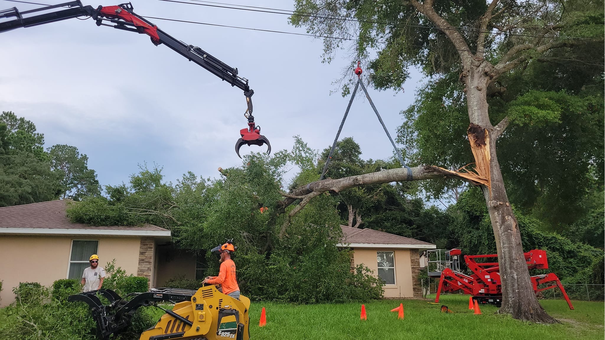 Airborne Tree Service Image