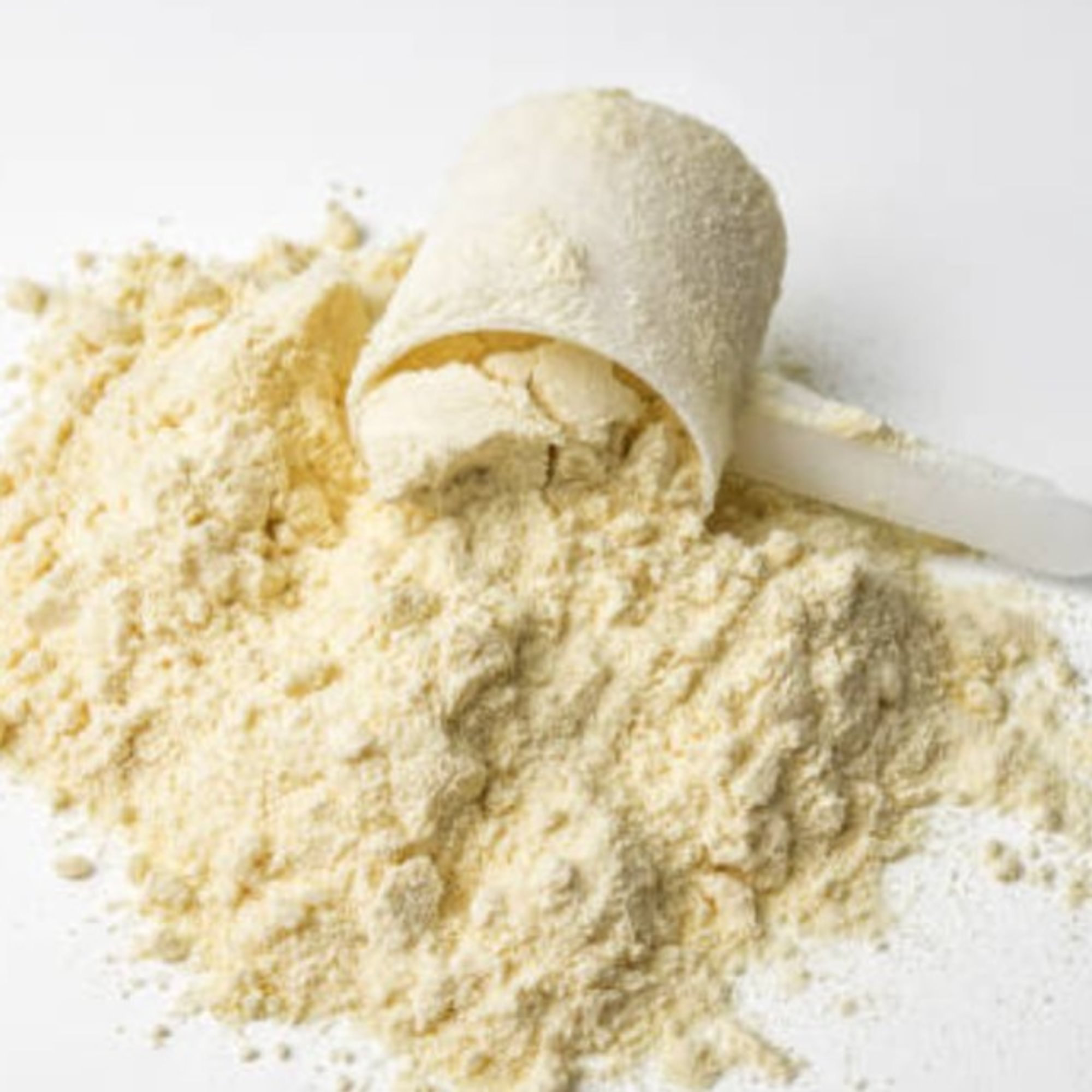 Vanilla Whey Protein