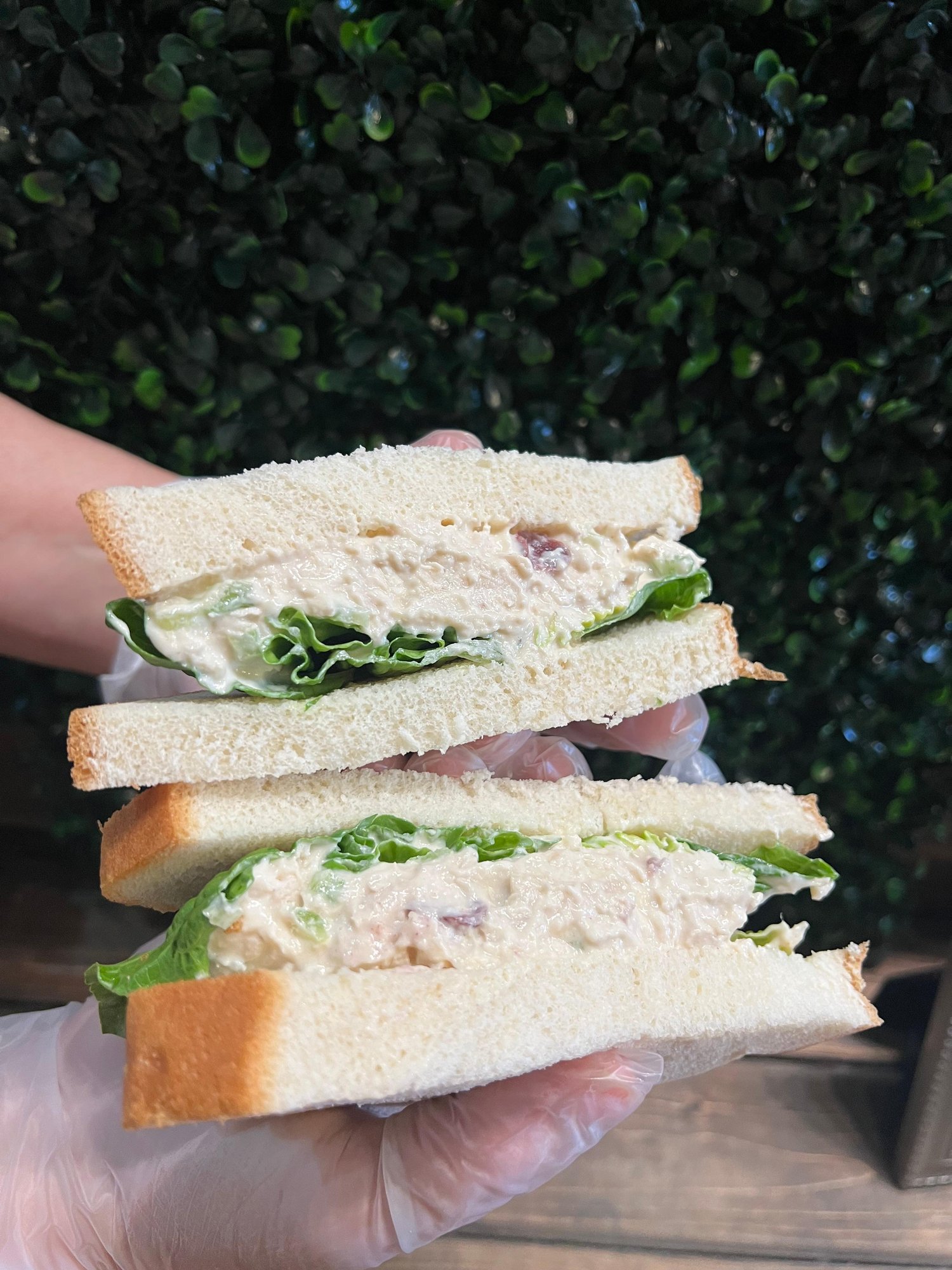 The Countryside