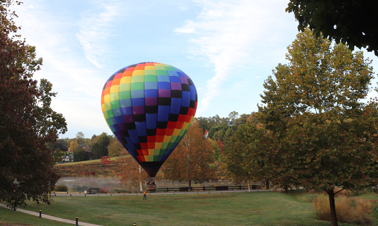 BALLOON FIELD