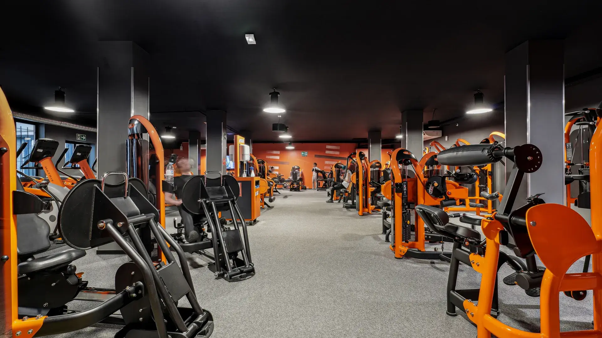 Miniature de la galerie