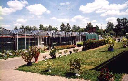 Images Sequoia Centrum Ogrodnicze