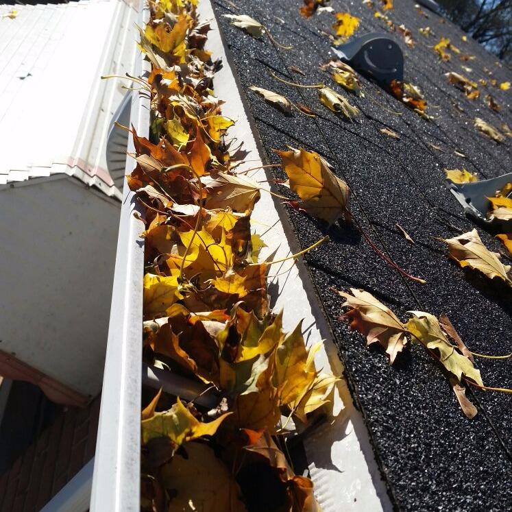 Gutter Cleaning 4 Less Logo