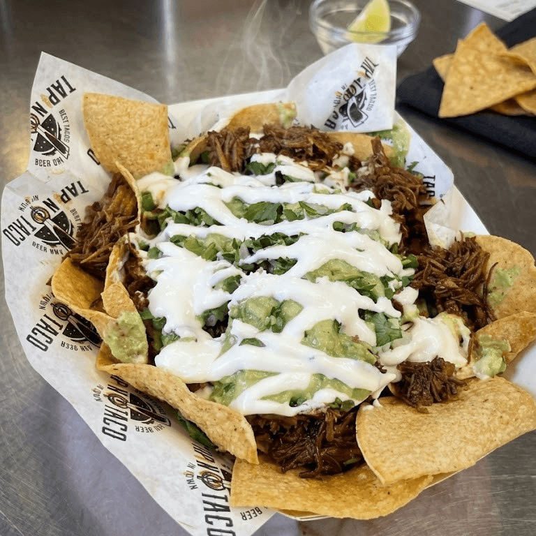 BIRRIA NACHOS