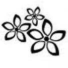 Marue & Gertz Ltd