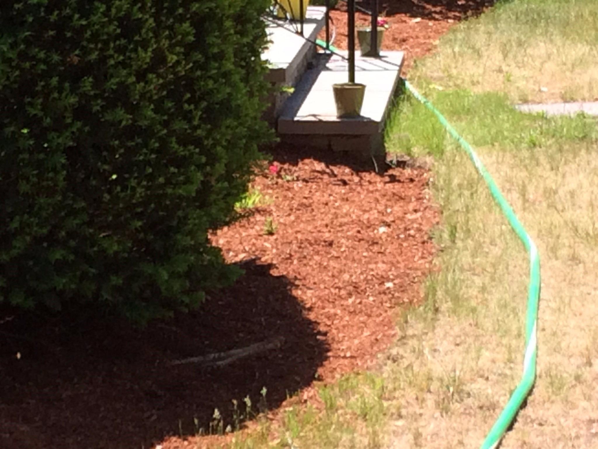Mike's Landscaping Image