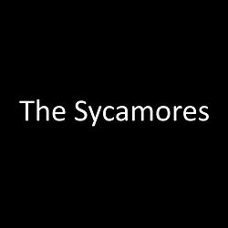 The Sycamores Photo