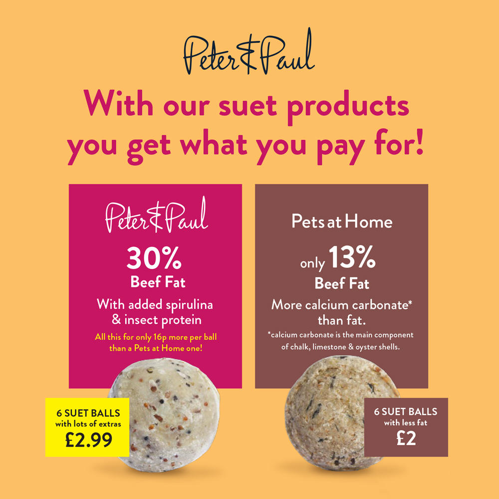 Peter&Paul Berry & Bug Suet Balls