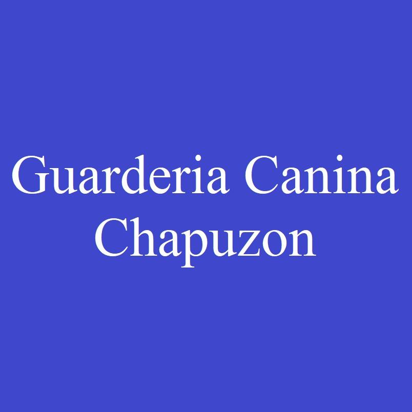GUARDERIA CANINA CHAPUZON Parque Avellaneda