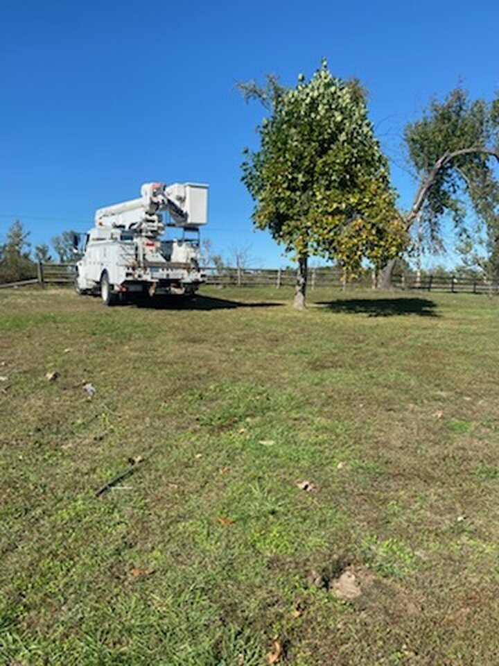 Triple G's Tree Service & Land Clearing Image