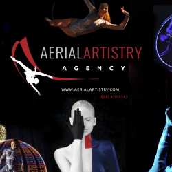 Aerial Artistry Agency LLC Logo